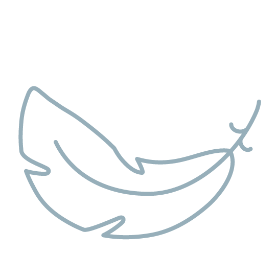 illustrated soft feather