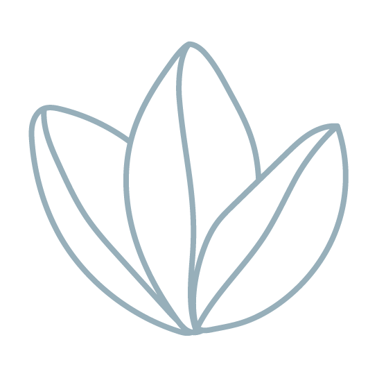 illustrated 3 leaves